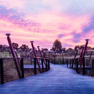 Croydon NSW