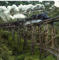 Ferntree Gully