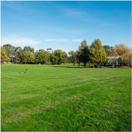 Mitcham