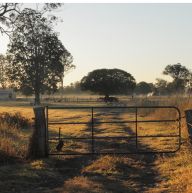 Morayfield
