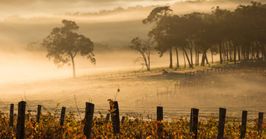 Perth daytrips