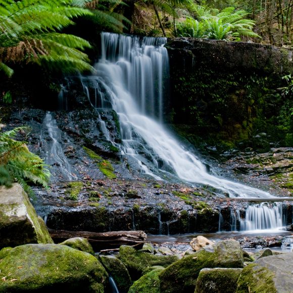 Waterfall in Tasmania’s Horseshoe Falls Mount Field National Park.