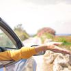 International Driving Permits