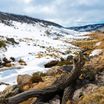 Road rules for snowy conditions